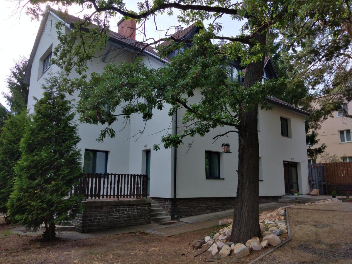 Bed and Breakfast Diana Panzio Matrafured Exterior foto