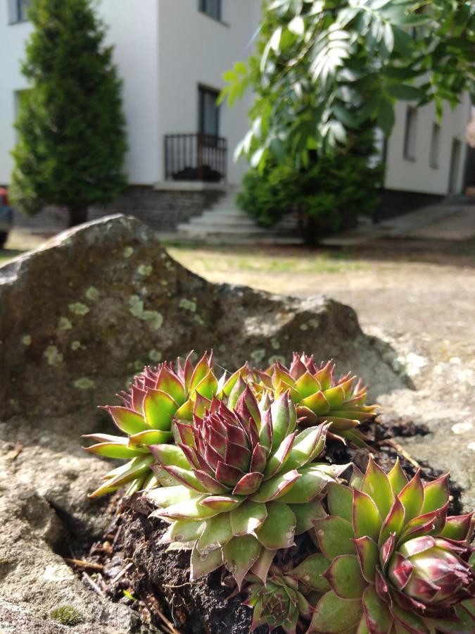 Bed and Breakfast Diana Panzio Matrafured Exterior foto